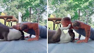 Pit Bull hilariously interrupts owner's workout to get cuddles