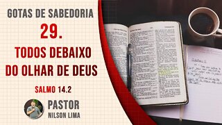 29. Todos debaixo do olhar de Deus - Salmo 14.2 - Pr. Nilson Lima