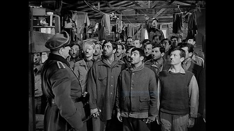 Stalag 17 ⭐️ FULL MOVIE ⭐️ WW2 WWII War Film ⭐️ William Holden & Don Taylor ⭐️ 1951