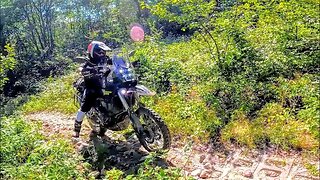 Knobby Ridge Single Track V.S. KLR 650 & Tenere 700 | Part 1