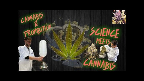 Non Therpeutic Cannabis - FDA & DEA Manipulation of the US Cannabis Market - Unintended Consequences