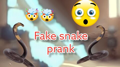Fake snake prank!!