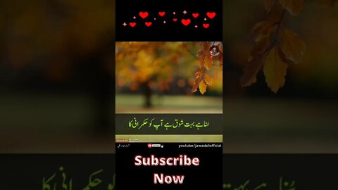 Urdu Poetry Whatsapp Status | Best Sad Urdu Sheroz Shayari | Heart Touching Shayari