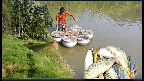 বড় জালে মাছ ধরা | Amazing fishing | Allrounder Jibon