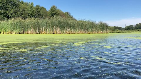 Pigeon River, Port Sheldon Michigan