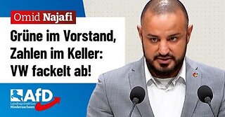 Grüne im Vorstand, VW Zahlen im Keller! – Omid Najafi (AfD)