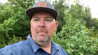 Update on Bark Grafting Fruit Trees Video