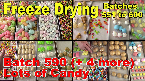 Batch 590 (Plus 4 More) Freeze Drying 5 Batches of Candy