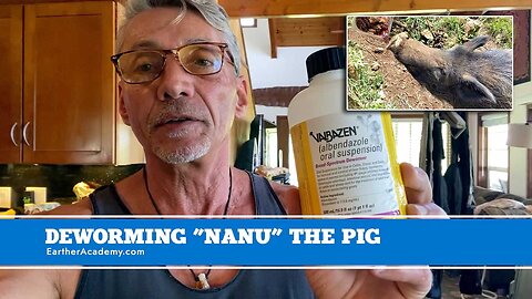 Deworming "Nanu" The Pig | Dr. Robert Cassar