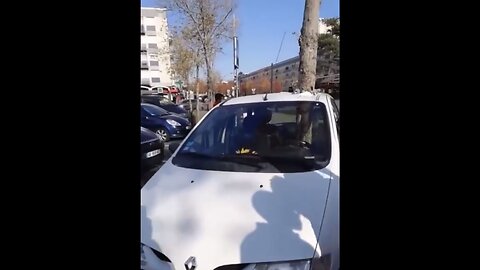 STRANGE PHENOMENON HAPPENS🌳🚙🌲 WHEN A TREE GROWS THROUGH A CAR SEAT🚙🌲💺💫