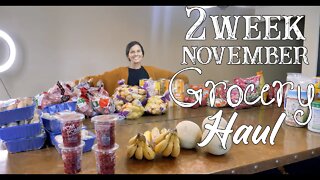 2 Week November Grocery Haul