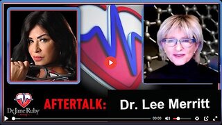 DR LEE MERRITT ON DARPA'S MIND CONTROL & TERRAIN THEORY -The Dr Jane Ruby Podcast