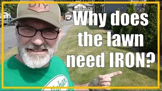 Lawn Fertilizer is FOOD for your Yard! | Cool Season Lawn - Part 4 | 2020/27