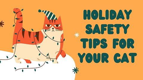 Holiday tips