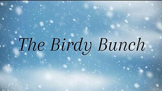 Northbound: Ep. 8 The Birdy Bunch