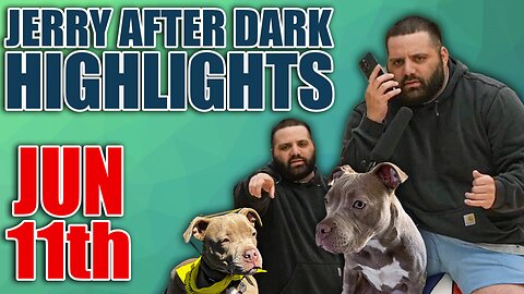 Charity Stream Helps Raise Money For PAWS Chicago | Jerry After Dark Highlights 6/11