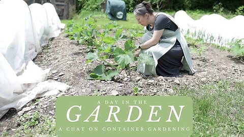 Garden Chat | Container Gardening/Gardening in Small Spaces | Tour of our Garden