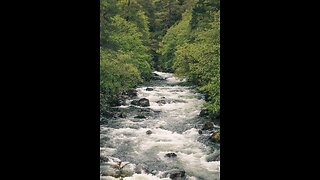 Relax with the sound of calm river flow