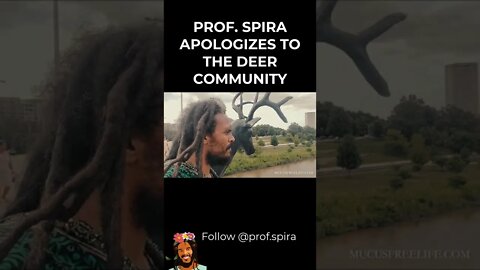 Prof. Spira Apologizes to the Deer Community #shorts