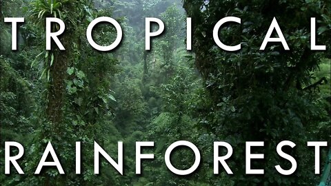 The Tropical Rainforest Climate - Secrets of World Climate #1