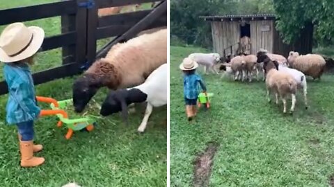 Kid helps out by feeding the farm animals