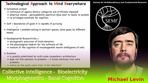 Michael Levin - SEMF: Evolution, Basal Cognition and Regenerative Medicine