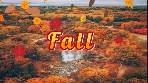 September Fall Inspirations #2 🍁