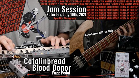 JAM SESSION! — Catalinbread "Blood Donor" FUZZ PEDAL on Bass & Keys