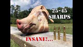 25-45 Sharps... Pig Head Test... YOU WON'T BELIEVE IT!...