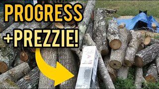 Progress and a PREZZIE! - Ann's Tiny Life and Homestead