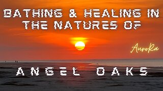 Bathing & Healing In the Natures of Angel Oaks