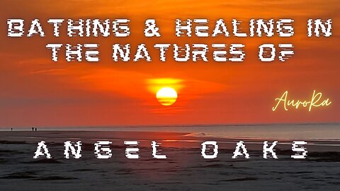 Bathing & Healing In the Natures of Angel Oaks
