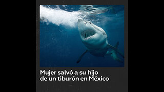 Una mujer dio su vida para salvar a su hijo de un tiburón en México