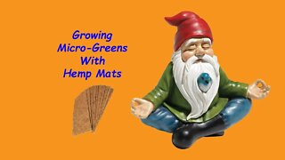 Growing Microgreens on Hemp Mats