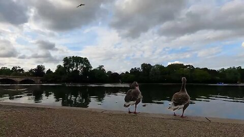 nice views of Serpentine lake . overlooking Hyde Park GoPro 13th July 2023