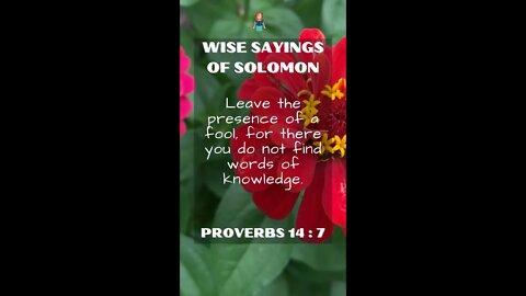 PROVERBS 14:7 | Wise Sayings of Solomon