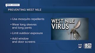 Maricopa County records record West Nile Virus levels
