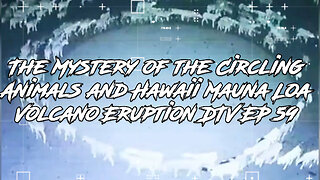 The Mystery of the Circling Animals and Hawaii Mauna Loa Volcano Eruption DTV EP 59