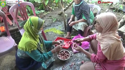 Hari Bemasak di desa Muara Siban Pagaralam / Tradisi hajatan Pernikahan di kampung Halaman jeme kite