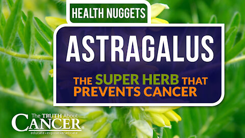 The Truth About Cancer: Health Nugget 14 - Astragalus: The Super Herb That Prevents Cancer