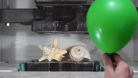 Is It Possible To Inflate A Balloon With Crushed Seashells From A Hydraulic Press?