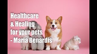 Health Care and Healing for your Pets – Maria Benardis
