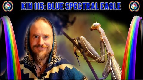 Praying Mantis on KIN 115: BLUE SPECTRAL EAGLE (11 MEN) 10 SEPTEMBER 2022 | Mayan Tzolkin Calendar