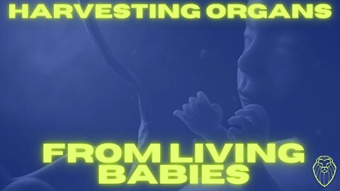 221 – Keeping Babies Alive Just Long Enough to Harvest Their Organs