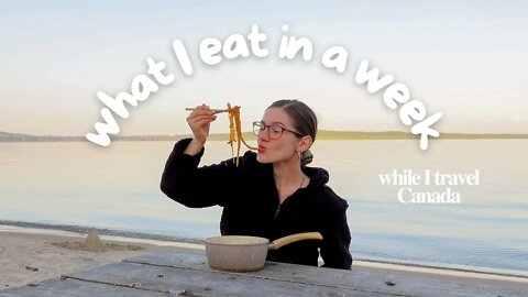 what I eat in a week | ( vegan recipes + travel vlog )