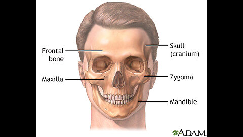 Changing Your Facial Structure [Aesthetic Primal]