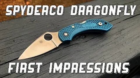 Spyderco Dragonfly K390 First Impressions