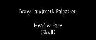 Bony Landmark Palpation - Skull (Frontal Parietal Temporal Occipital Maxilla Mandible Zygomatic)