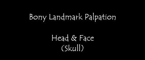 Bony Landmark Palpation - Skull (Frontal Parietal Temporal Occipital Maxilla Mandible Zygomatic)