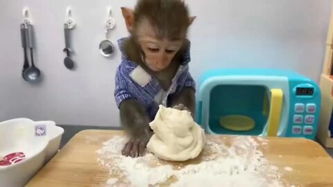 Little Monkey Tico Preparing His Bread, Very Gracious. See what he does! ***